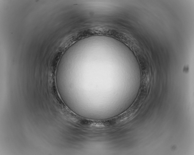 X0000091700749200709141059