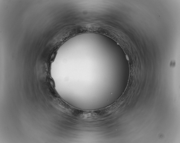 X0000091700752200709141059