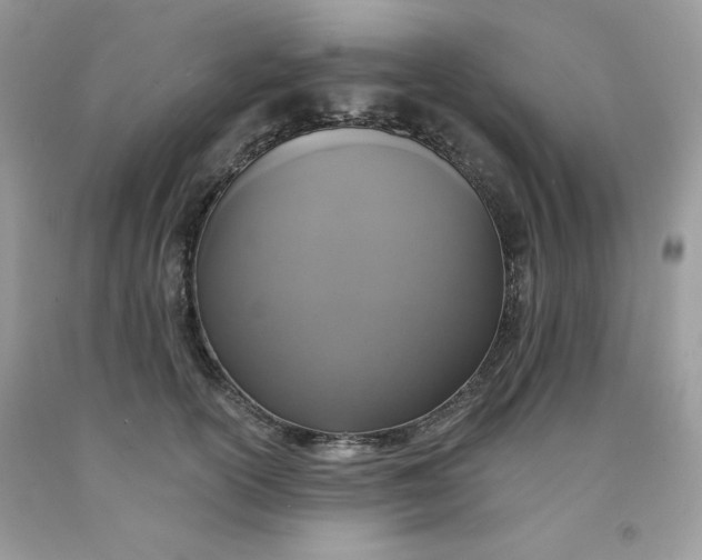 X0000091700754200709141059