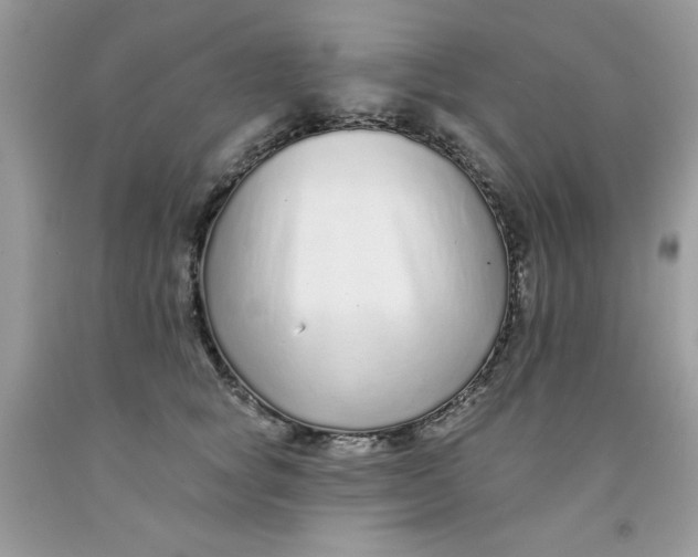 X0000091700757200709141059