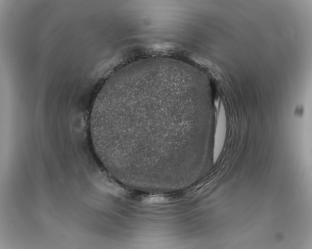 X0000091700759200709141059