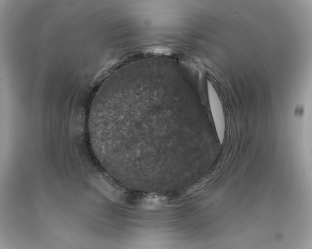 X0000091700760200709141059