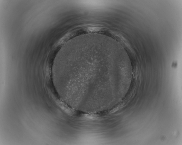 X0000091700763200709141059