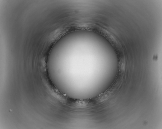 X0000091700764200709141059