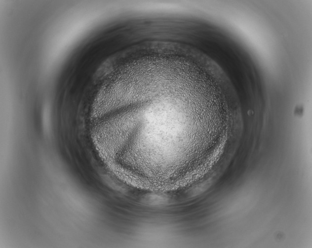 X0000091700765200709141059