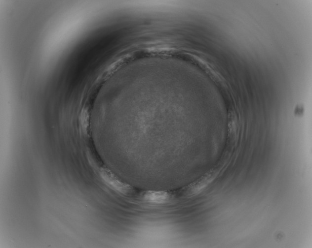 X0000091700767200709141059