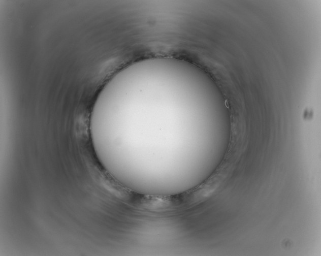 X0000091700768200709141059