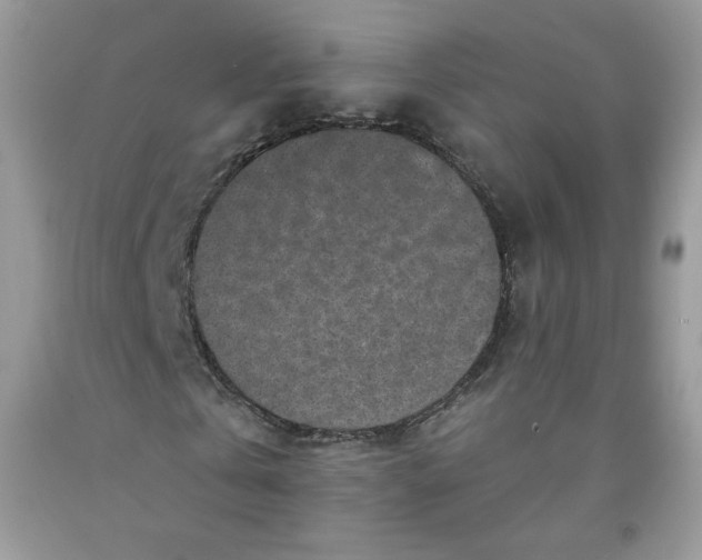 X0000091700769200709141059