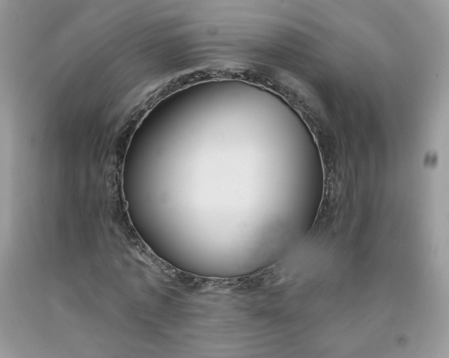 X0000091700773200709141059