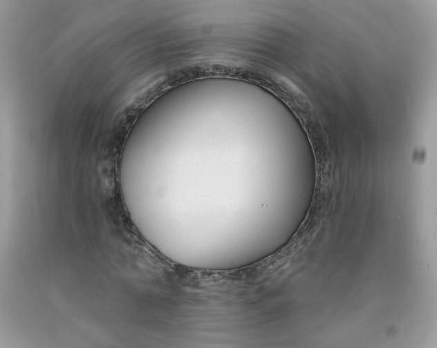 X0000091700774200709141059