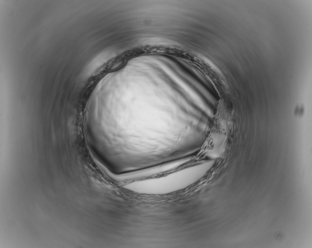 X0000091700775200709141059