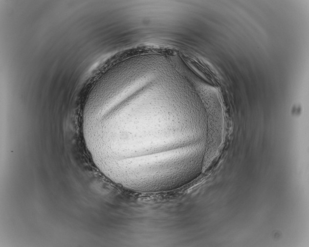 X0000091700776200709141059