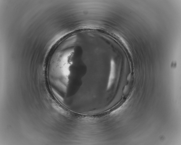 X0000091700779200709141059