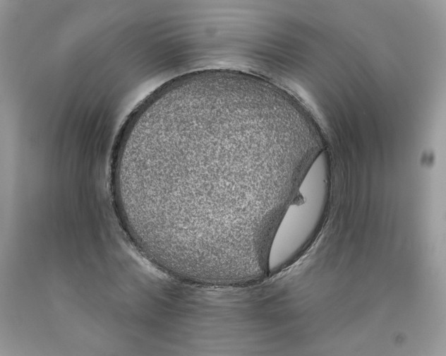 X0000091700780200709141059