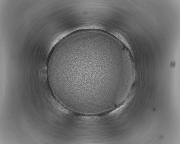 X0000091700781200709141059