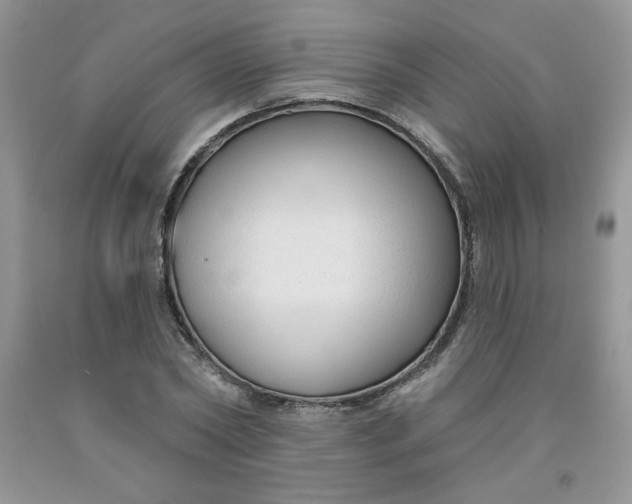 X0000091700782200709141059