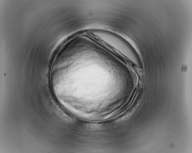 X0000091700783200709141059