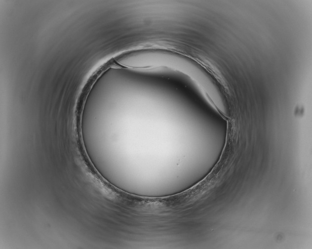 X0000091700784200709141059