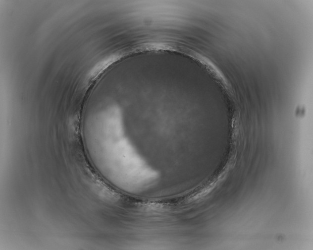 X0000091700785200709141059