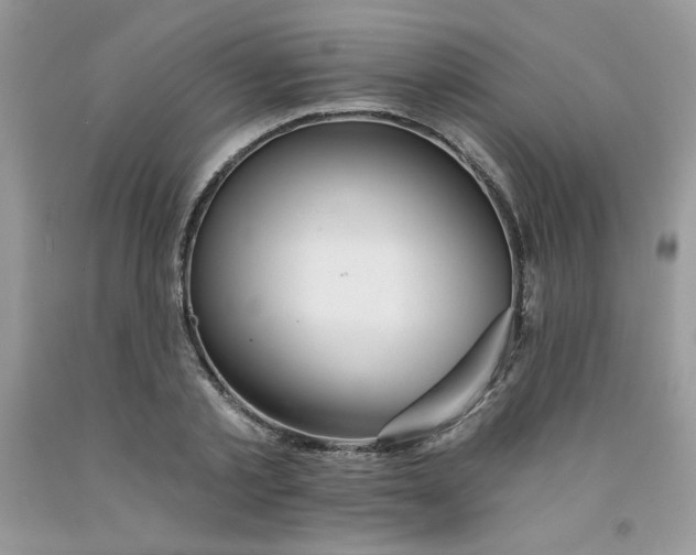 X0000091700789200709141059