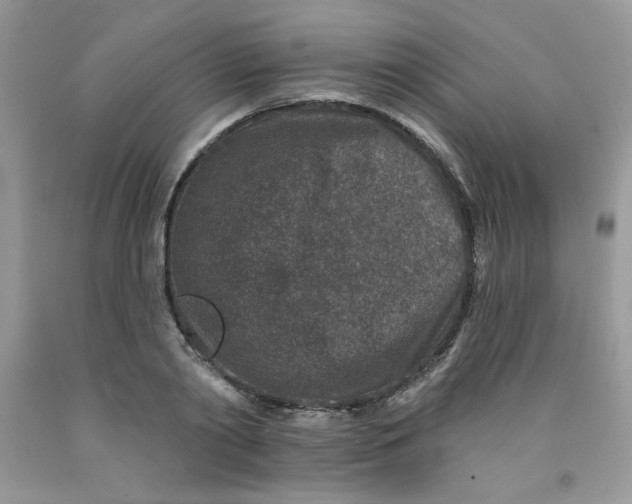 X0000091700790200709141059