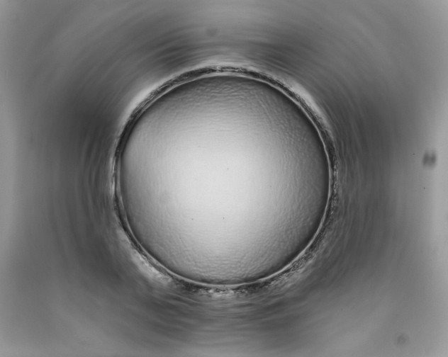 X0000091700791200709141059