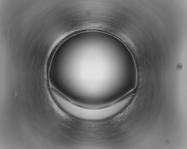 X0000091700792200709141058