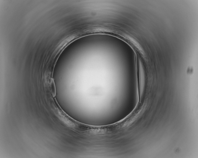 X0000091700793200709141058