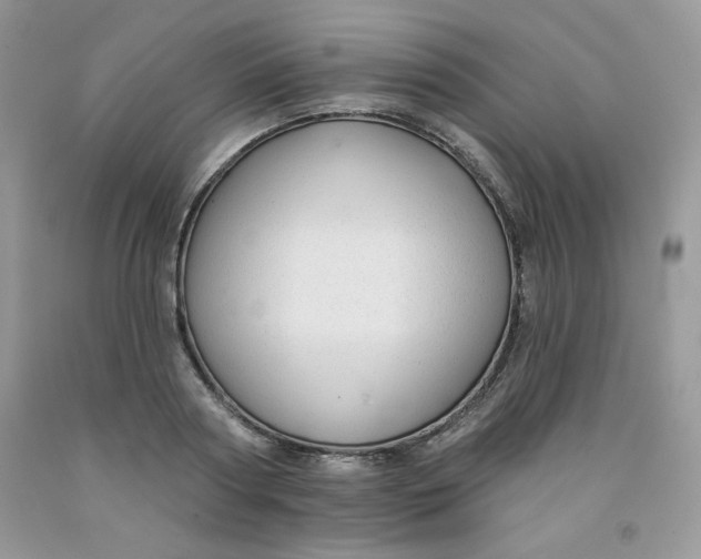 X0000091700794200709141058