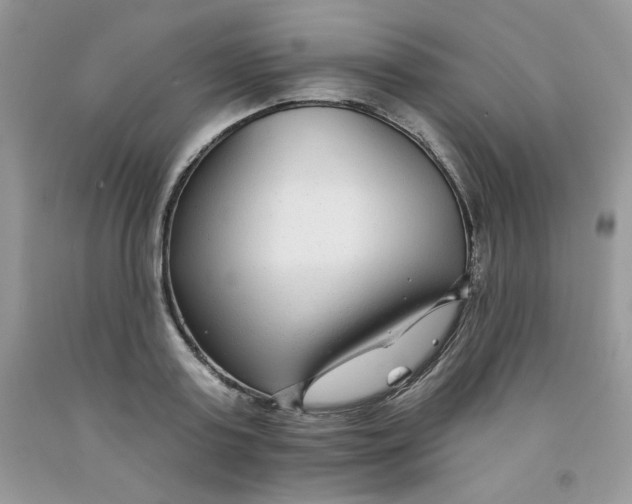 X0000091700795200709141058