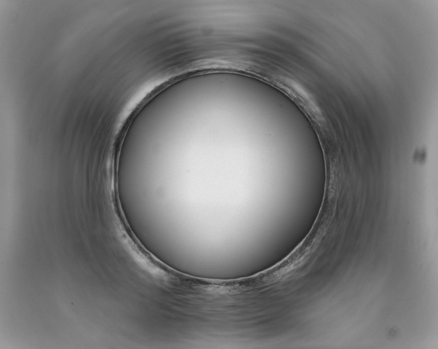 X0000091700796200709141058