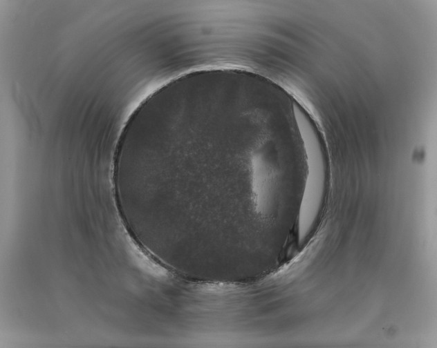 X0000091700797200709141058