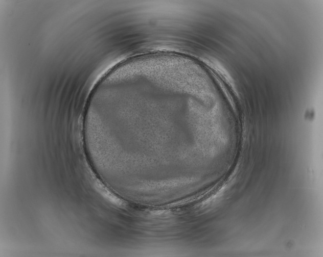 X0000091700798200709141058