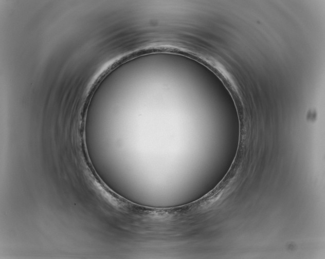 X0000091700799200709141058