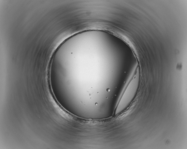 X0000091700803200709141058