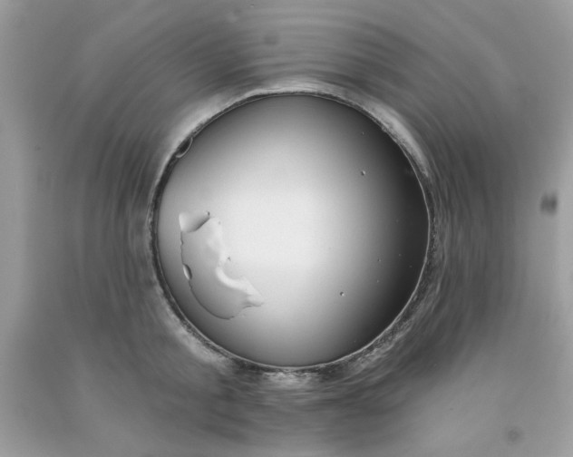 X0000091700805200709141058