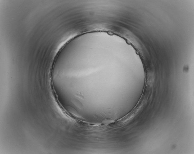 X0000091700806200709141058