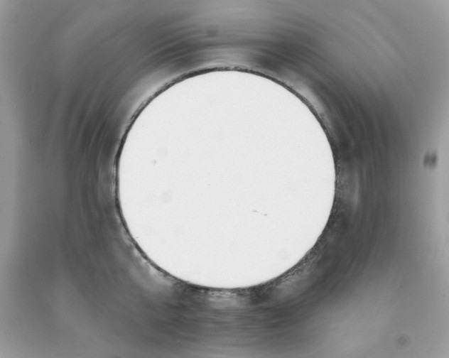 X0000091700807200709141058