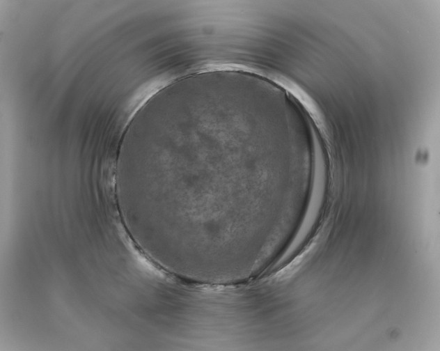 X0000091700809200709141058