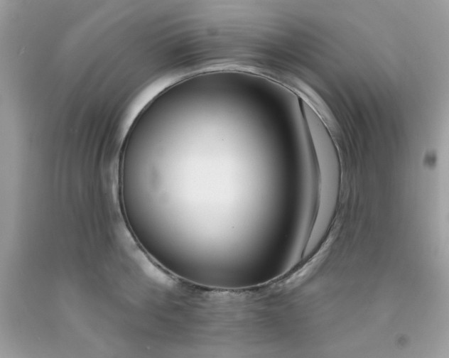 X0000091700812200709141058