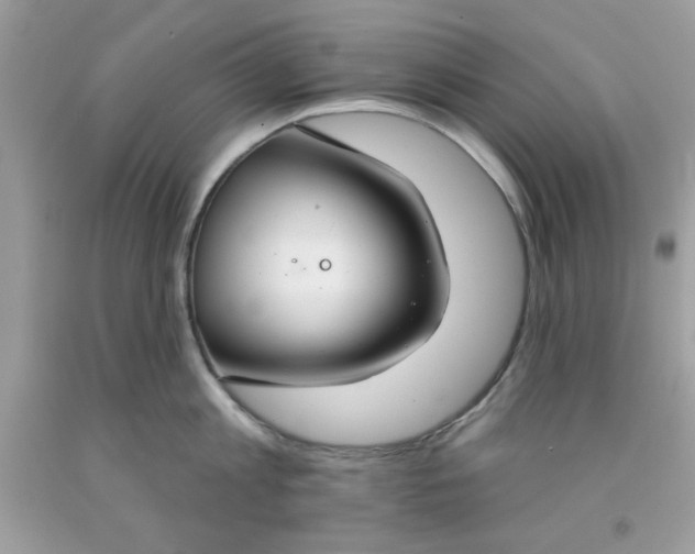 X0000091700813200709141058