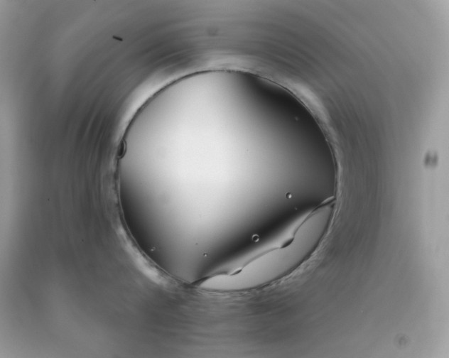 X0000091700816200709141058