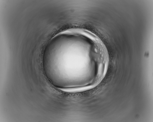 X0000091700817200709141057