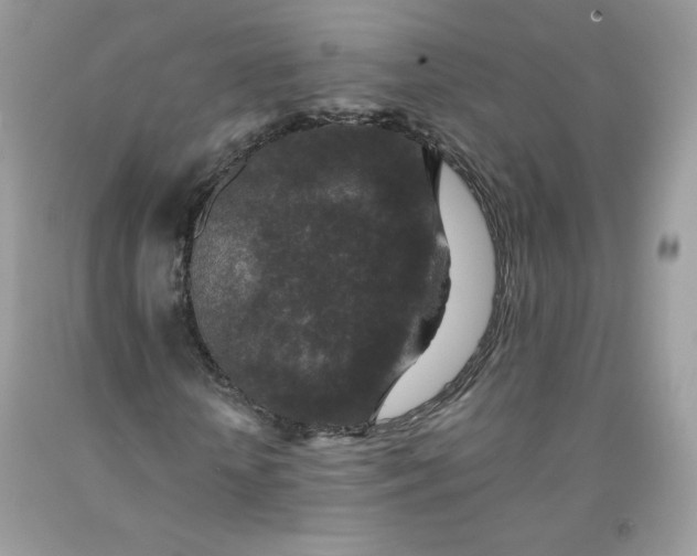 X0000091700818200709141057