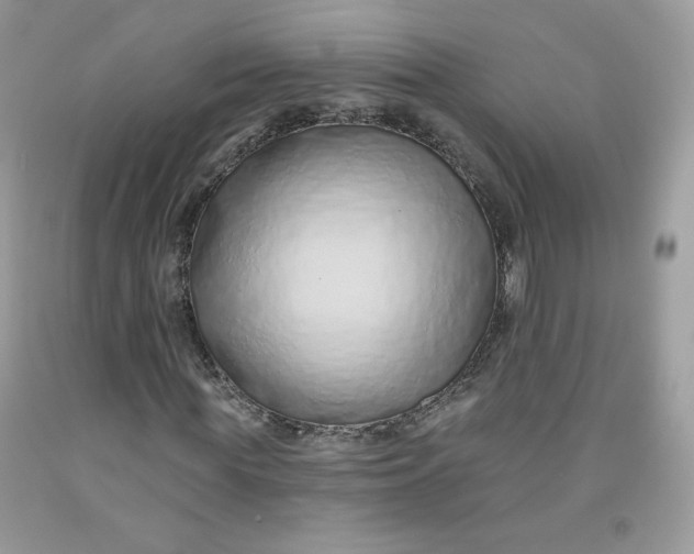 X0000091700819200709141057