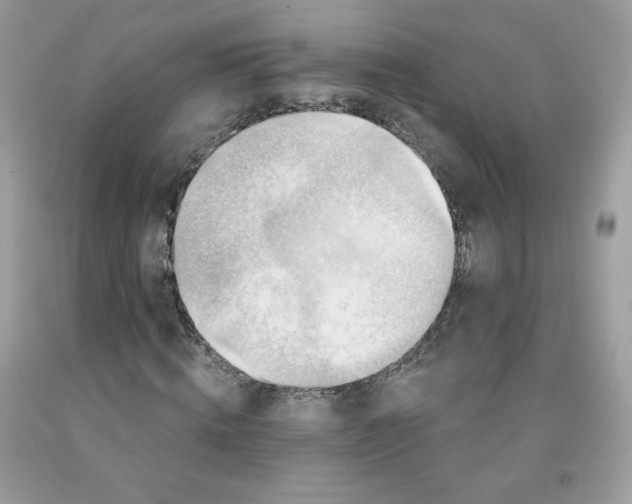 X0000091700820200709141057