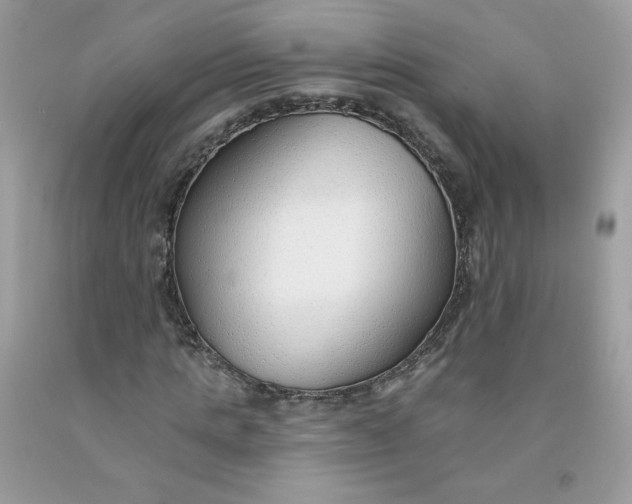 X0000091700821200709141057