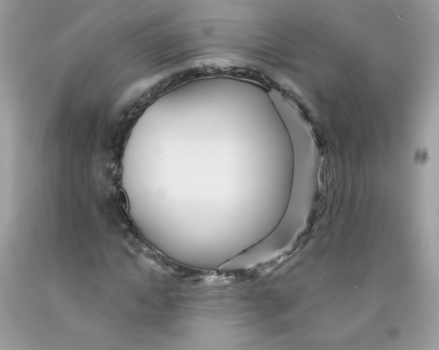 X0000091700822200709141057