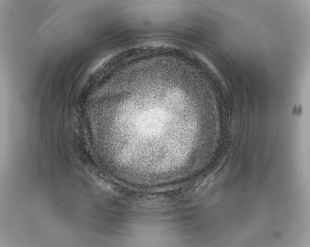 X0000091700823200709141058