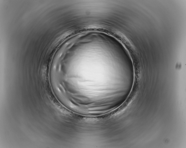 X0000091700825200709141058